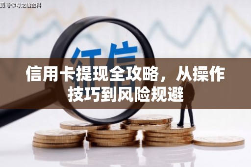 鹿泉信用卡提现全攻略，从操作技巧到风险规避