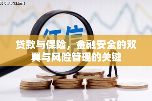 鹿泉贷款与保险，金融安全的双翼与风险管理的关键