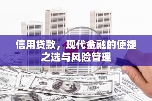 鹿泉信用贷款，现代金融的便捷之选与风险管理