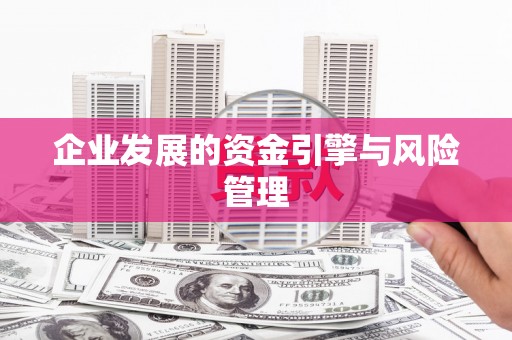 鹿泉企业发展的资金引擎与风险管理
