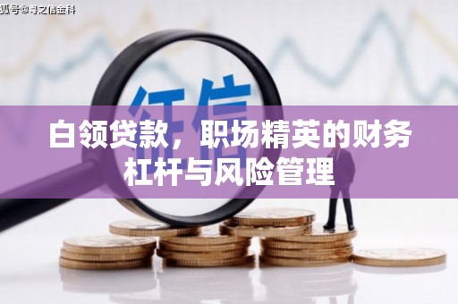 鹿泉白领贷款，职场精英的财务杠杆与风险管理