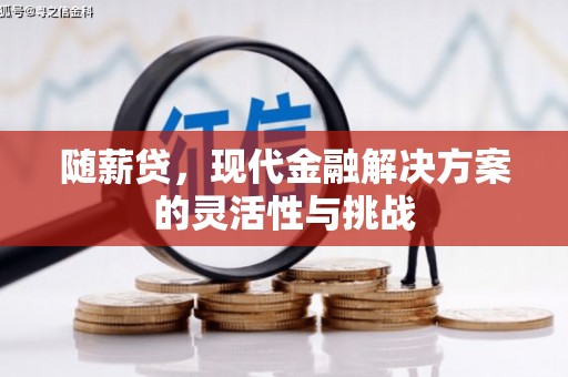 鹿泉随薪贷，现代金融解决方案的灵活性与挑战