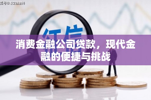 鹿泉消费金融公司贷款，现代金融的便捷与挑战