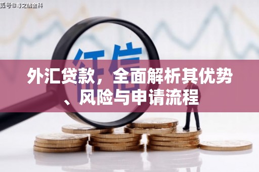 鹿泉外汇贷款，全面解析其优势、风险与申请流程