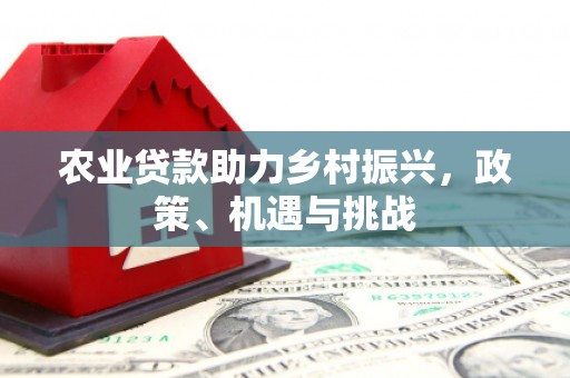 鹿泉农业贷款助力乡村振兴，政策、机遇与挑战