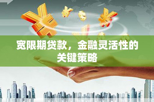 鹿泉宽限期贷款，金融灵活性的关键策略