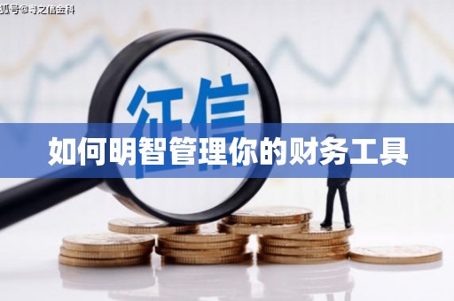 鹿泉如何明智管理你的财务工具