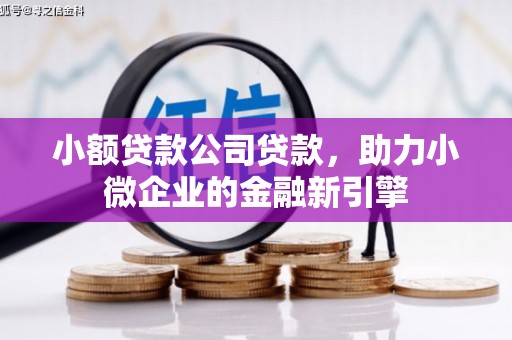 鹿泉小额贷款公司贷款，助力小微企业的金融新引擎