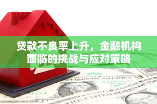 鹿泉贷款不良率上升，金融机构面临的挑战与应对策略