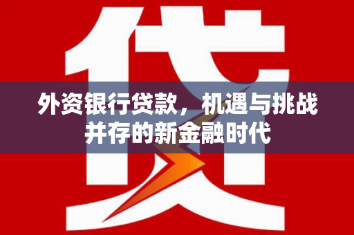 鹿泉外资银行贷款，机遇与挑战并存的新金融时代