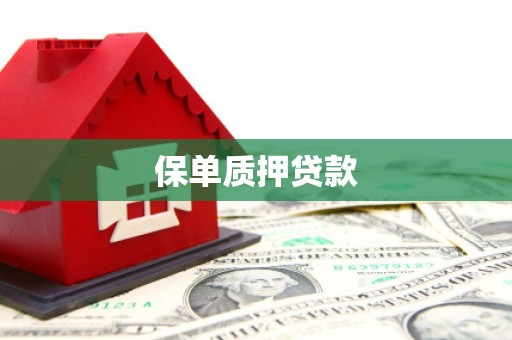 鹿泉保单质押贷款