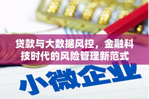 鹿泉贷款与大数据风控，金融科技时代的风险管理新范式