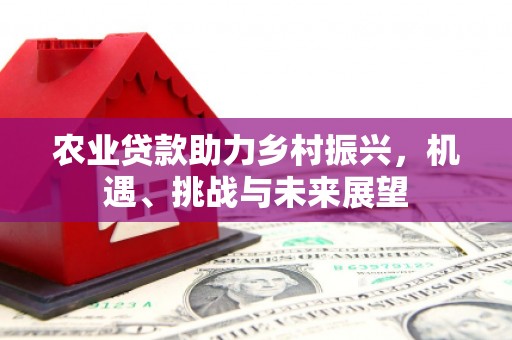 鹿泉农业贷款助力乡村振兴，机遇、挑战与未来展望