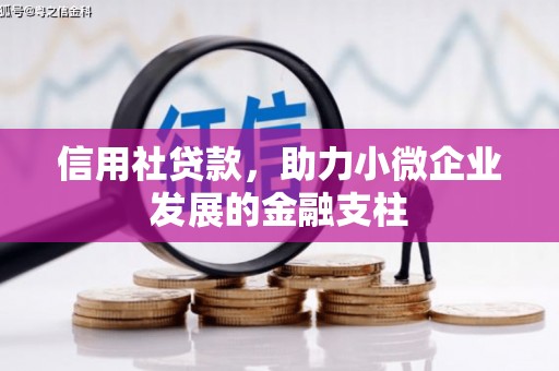 鹿泉信用社贷款，助力小微企业发展的金融支柱