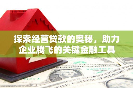 鹿泉探索经营贷款的奥秘，助力企业腾飞的关键金融工具