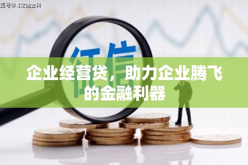 鹿泉企业经营贷，助力企业腾飞的金融利器