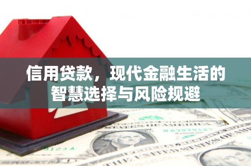 鹿泉信用贷款，现代金融生活的智慧选择与风险规避
