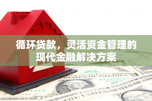 鹿泉循环贷款，灵活资金管理的现代金融解决方案