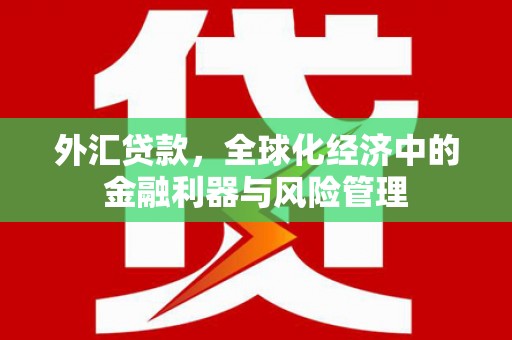 鹿泉外汇贷款，全球化经济中的金融利器与风险管理