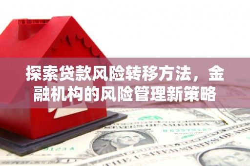 鹿泉探索贷款风险转移方法，金融机构的风险管理新策略