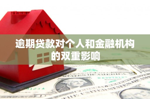 鹿泉逾期贷款对个人和金融机构的双重影响