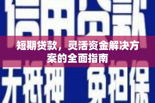 鹿泉短期贷款，灵活资金解决方案的全面指南