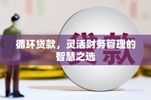 鹿泉循环贷款，灵活财务管理的智慧之选