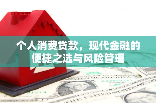 鹿泉个人消费贷款，现代金融的便捷之选与风险管理