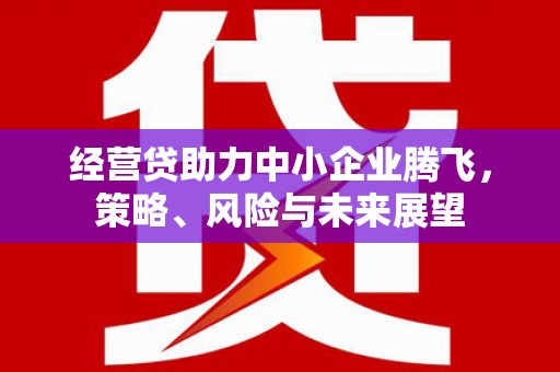鹿泉经营贷助力中小企业腾飞，策略、风险与未来展望