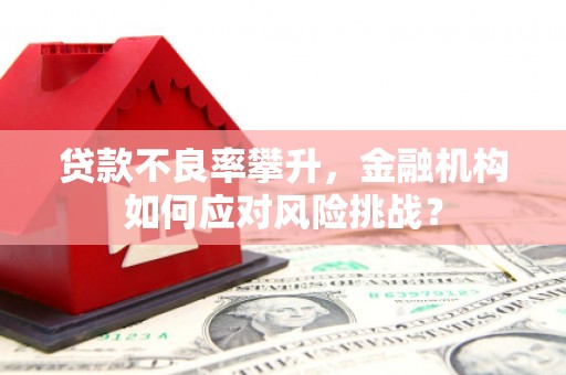 鹿泉贷款不良率攀升，金融机构如何应对风险挑战？
