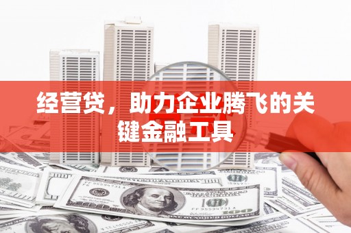 鹿泉经营贷，助力企业腾飞的关键金融工具