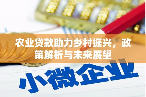 鹿泉农业贷款助力乡村振兴，政策解析与未来展望