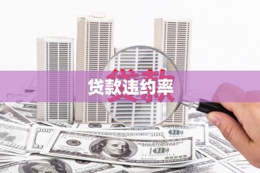鹿泉贷款违约率