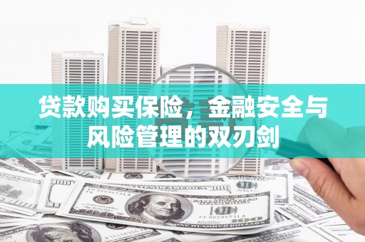 鹿泉贷款购买保险，金融安全与风险管理的双刃剑