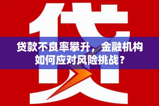 鹿泉贷款不良率攀升，金融机构如何应对风险挑战？