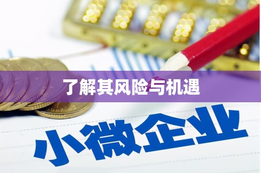 鹿泉了解其风险与机遇