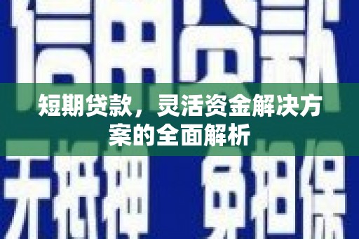 鹿泉短期贷款，灵活资金解决方案的全面解析