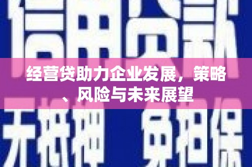 鹿泉经营贷助力企业发展，策略、风险与未来展望