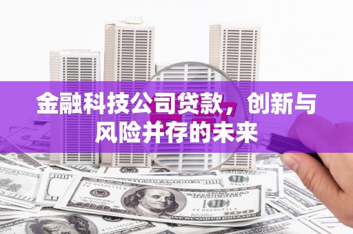 鹿泉金融科技公司贷款，创新与风险并存的未来