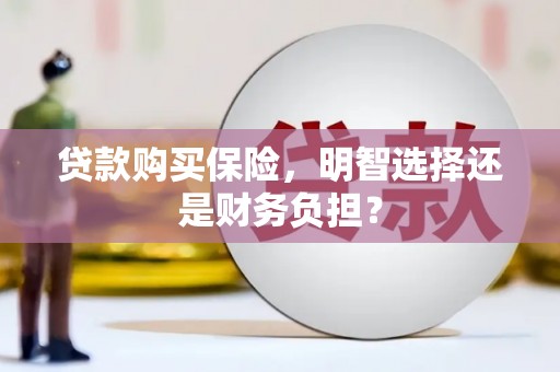 鹿泉贷款购买保险，明智选择还是财务负担？
