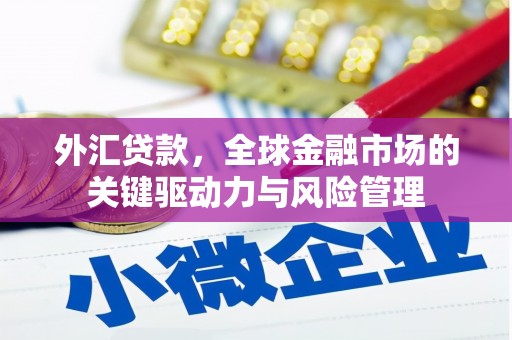 鹿泉外汇贷款，全球金融市场的关键驱动力与风险管理