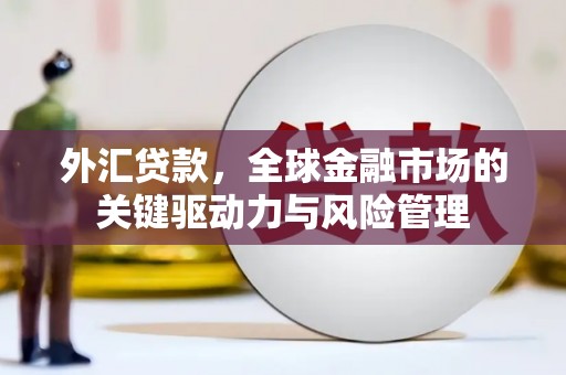 鹿泉外汇贷款，全球金融市场的关键驱动力与风险管理