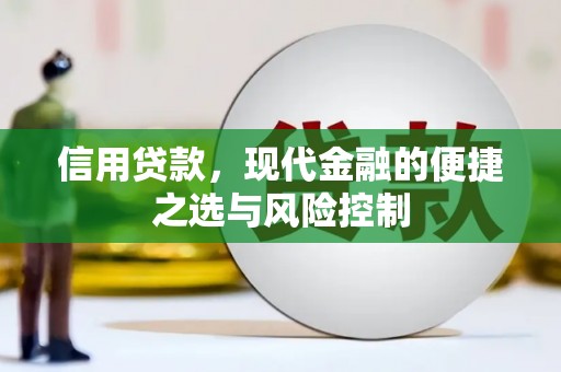 鹿泉信用贷款，现代金融的便捷之选与风险控制