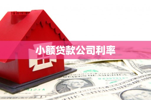 鹿泉小额贷款公司利率