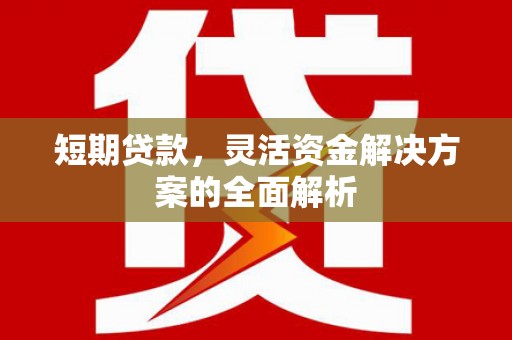 鹿泉短期贷款，灵活资金解决方案的全面解析
