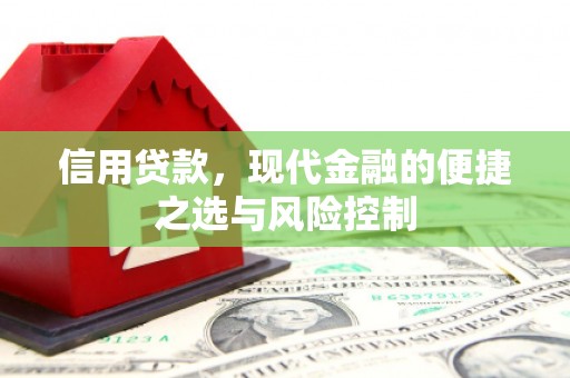 鹿泉信用贷款，现代金融的便捷之选与风险控制
