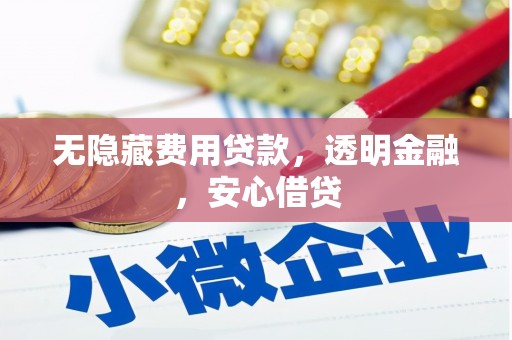 鹿泉无隐藏费用贷款，透明金融，安心借贷