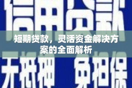鹿泉短期贷款，灵活资金解决方案的全面解析