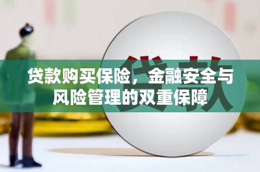 鹿泉贷款购买保险，金融安全与风险管理的双重保障
