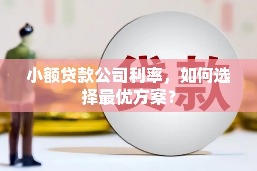 鹿泉小额贷款公司利率，如何选择最优方案？